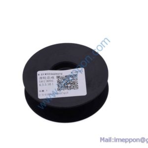 SYM004625572