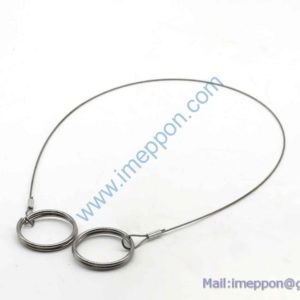 SYM006085379