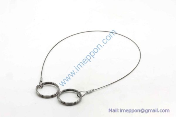 SYM006085379
